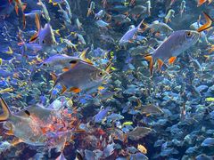 -成都浩海立方海洋公园