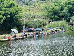 -天鹿湖森林公园