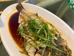 -大鹅岛绿色生态美食园