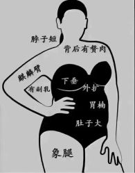-香薇妮丝·定制减肥·身材管理