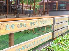 -杨梅坑
