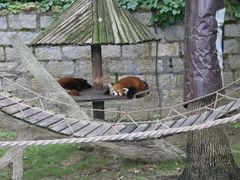 -上海野生动物园