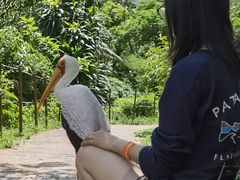 -吉隆坡雀鸟公园