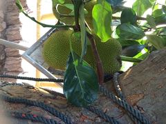 iphone_upload_pic-百鸟园