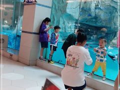 -帝企鹅自助餐厅•儿童岛•真企鹅(长隆企鹅酒店)