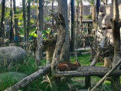 -武汉动物园