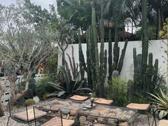 -自由生长植物工作室(深港花卉中心店)