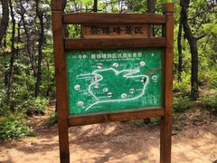 -磬锤峰森林公园