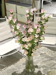 -无界瑜伽普拉提