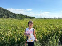 -南北湖风景区