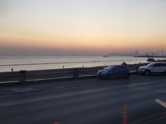 -合肥滨湖国家森林公园