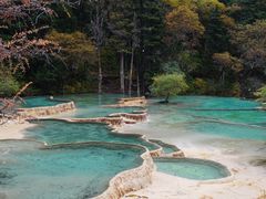 -黄龙山原始森林景区
