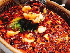 -红辣椒·川菜·火锅(科华路店)