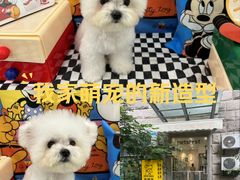 -Pets First伊珊娜洗护·精致美容·家庭式寄养(新会路店)