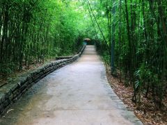 -金海湾滨江公园