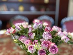 -名汇粤菜馆(黄兴路店)