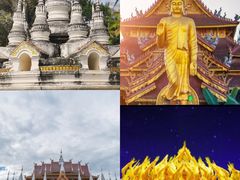 -中国科学院西双版纳热带植物园