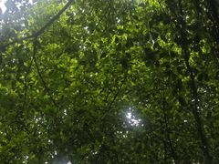 -海珠湖公园