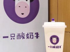 -一只酸奶牛(奎星楼店)