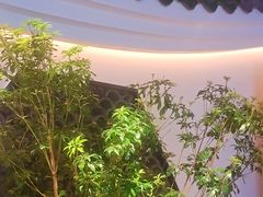 -庭院江南菜•烤鸭•非遗传承(丰台总部基地店)