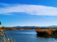 -野鸭湖国家湿地公园