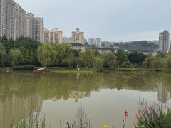 -沐仙湖湿地公园
