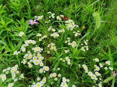 -黄山屯溪国际机场