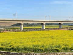 -光明小镇欢乐田园