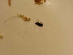 android_upload_pic-汤记传菜(秀浦路店)