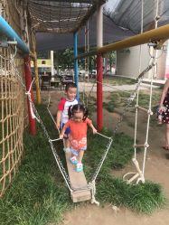 -上美四季动物农场