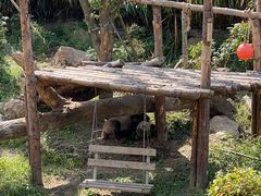 -宁波野生动物园