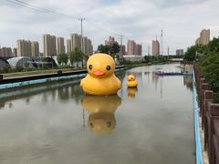 -菊园百果园