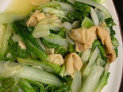 -百年家风·老馆子(东风店)