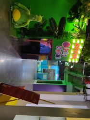 -恐龙探索乐园(磁器口店)