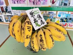 -小风车金桥丽都幼儿园(金桥店)