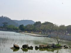 -顺峰山公园