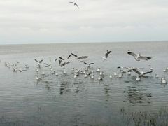 -青海湖仙女湾景区