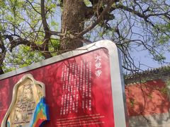 -大觉寺-停车场