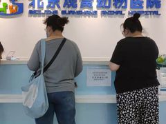 -北京观赏动物医院·24小时大型综合·猫专科·异宠专科