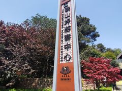 -铁山坪森林公园