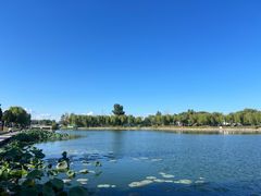 -素心小筑(后沙裕镇店)