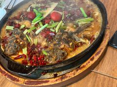 -老板恋上鱼(恒隆广场店)