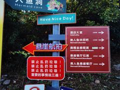 -杨梅坑