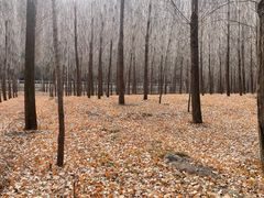 -百里山水画廊