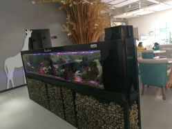 点击看大图 -可爱多国际儿童摄影会馆(龙泉店)