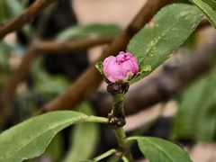 -水濂山森林公园