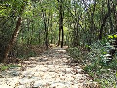 -紫金山山顶公园