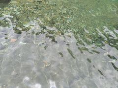 -庐山风景区花径公园