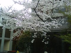 -杭州西湖艺联君亭酒店(黄龙体育中心地铁口店)