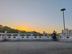 -广东花都湖国家湿地公园